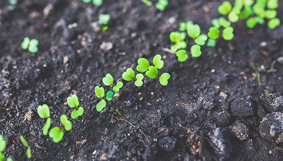 北京全面開展大氣污染防治精細(xì)化管理專項(xiàng)督察工作