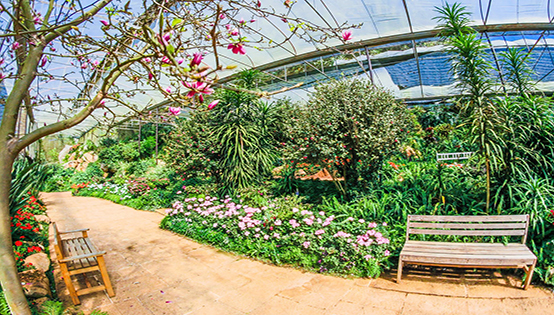 我國環(huán)境治理過高，依賴行政手段，缺少市場化調(diào)節(jié)