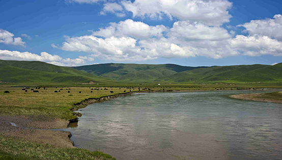 垃圾發(fā)電行業(yè)普遍擔憂補貼 “退坡”