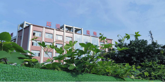 燕趙都市報：河北 揚塵污染嚴重的將列入失信名單