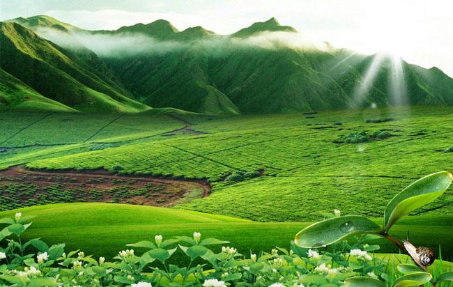 生態(tài)環(huán)境部赴山東濰坊調(diào)研渤海綜合治理攻堅(jiān)戰(zhàn)進(jìn)展情況