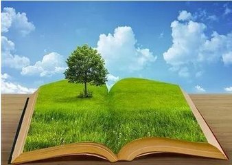 生態(tài)環(huán)境部黨組召開會(huì)議