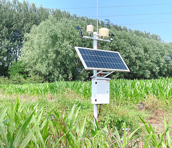 某農(nóng)業(yè)大學(xué)-農(nóng)業(yè)氣象站科研專業(yè)環(huán)境站 農(nóng)田科研氣象站